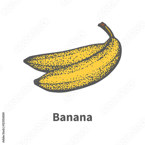 Vector illustration hand-drawn ripe yellow banana