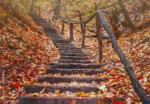 old staircase in the autumn forest in the mountains