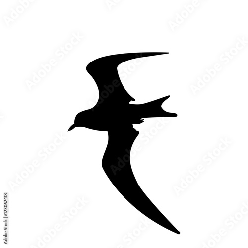 Bird seagull flying vector illustration silhouette black