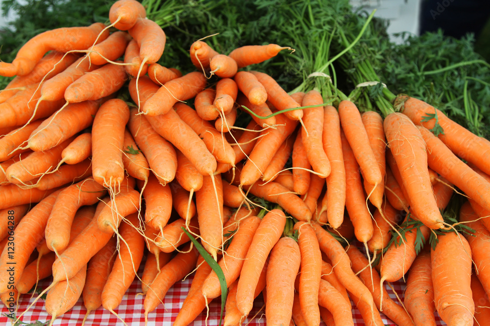 Piles of fresh raw bunches of carrots with stalks Piles of fresh raw bunches of carrots with stalks