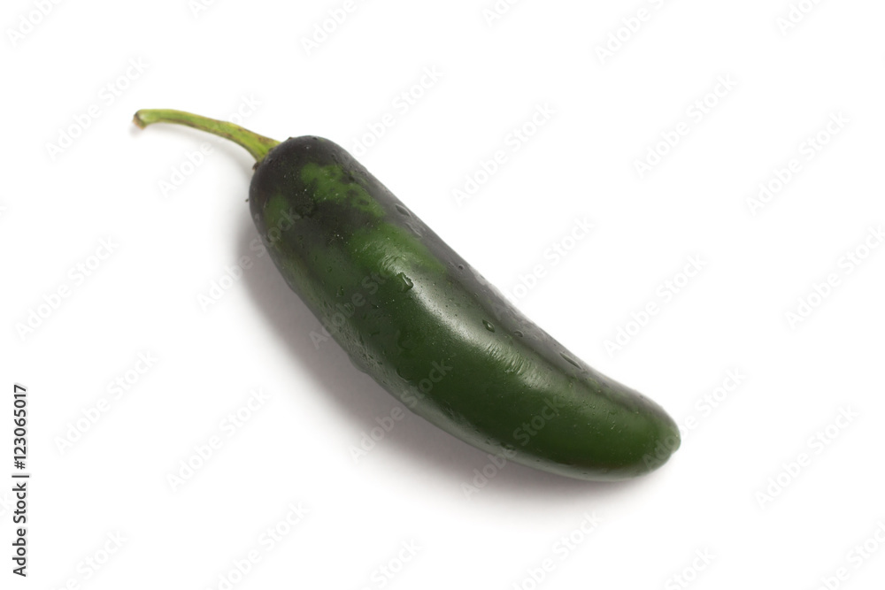 Fresh Jalapeno Pepper Fresh Jalapeno Pepper