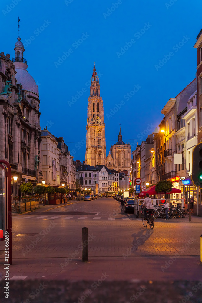 Naklejka premium Gothic Cathedral at Night, Antwerp, Belgium