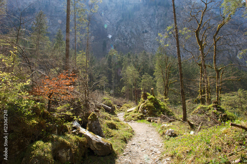 Königssee