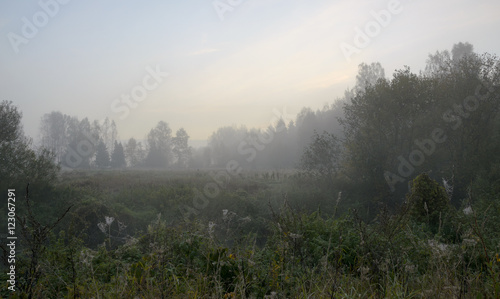 Misty autumn scene © valeriy boyarskiy