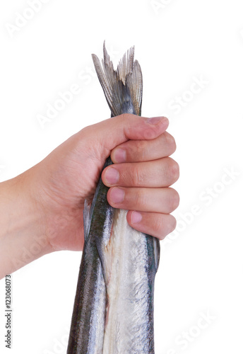 Gar fish. Man's hand holding a fish, background. photo