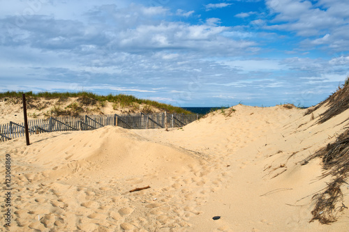 Landscape with sand dunes at Cape Cod
