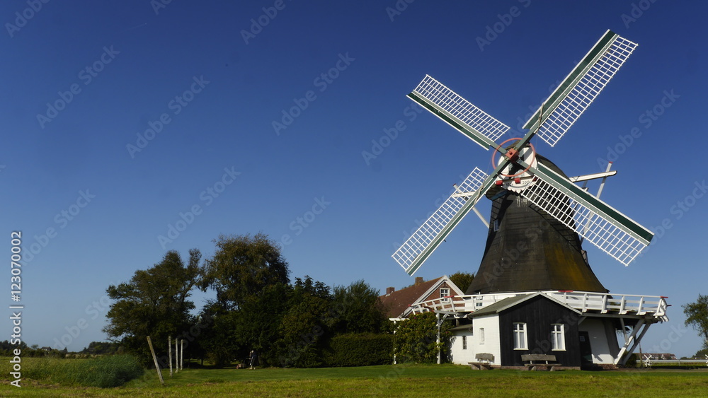 Fototapeta premium Seriemer Mühle