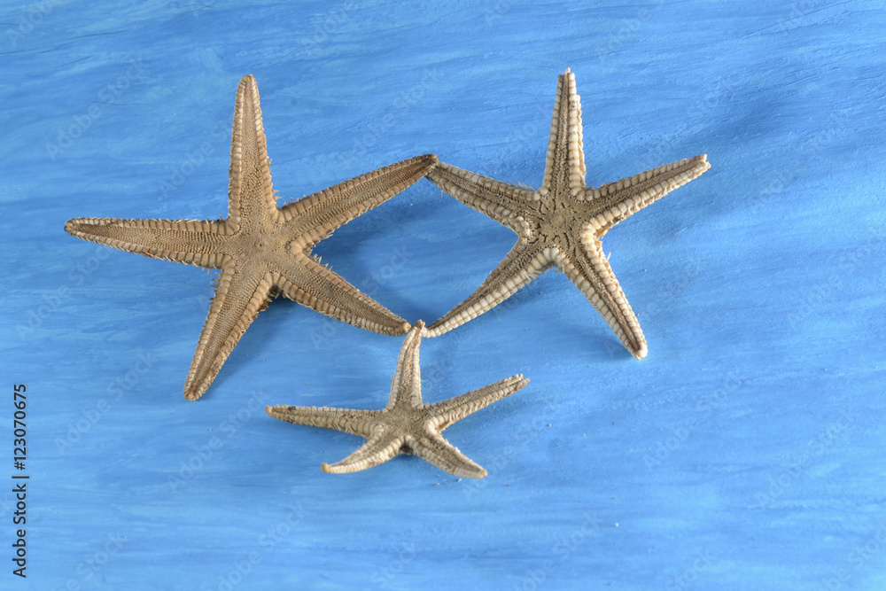 3 estrellas de mar unidas por una pata. Fondo pintado de azul. 3 estrellas de mar unidas por una pata. Fondo pintado de azul.