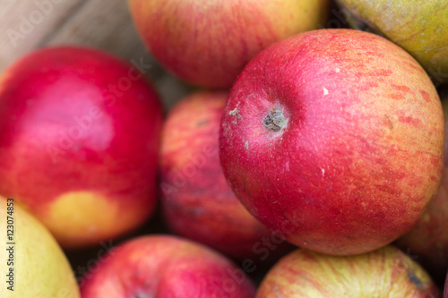 Handpicked organic apples