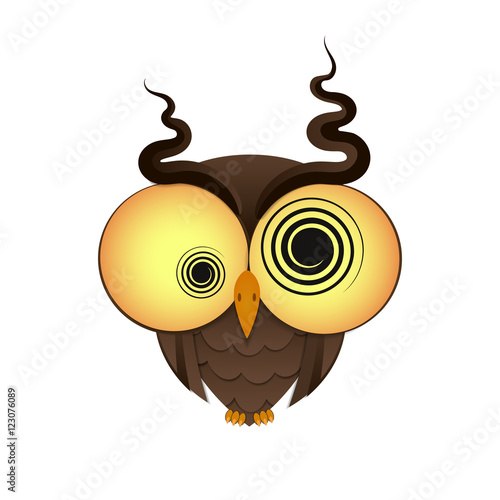 crazy owl logo