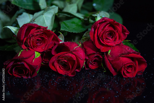 Roses isolated on black background