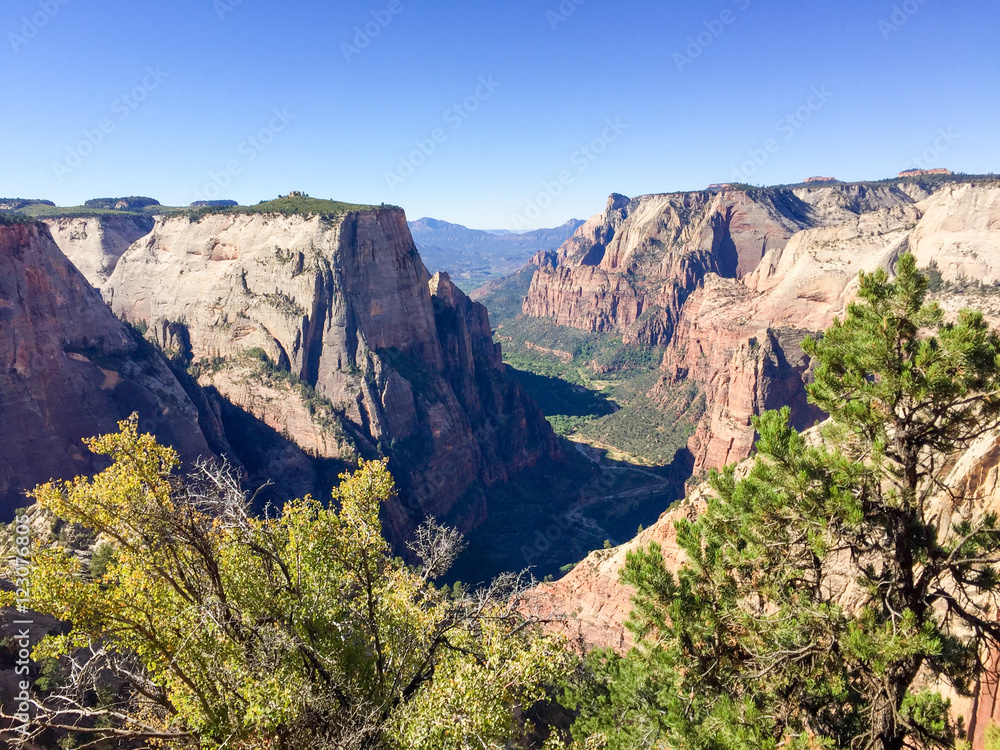 Observation Point