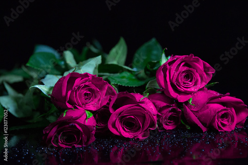 Pink roses lying on black background