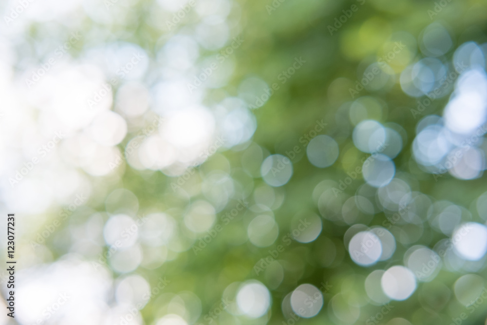 green bokeh from tree and sky green bokeh from tree and sky