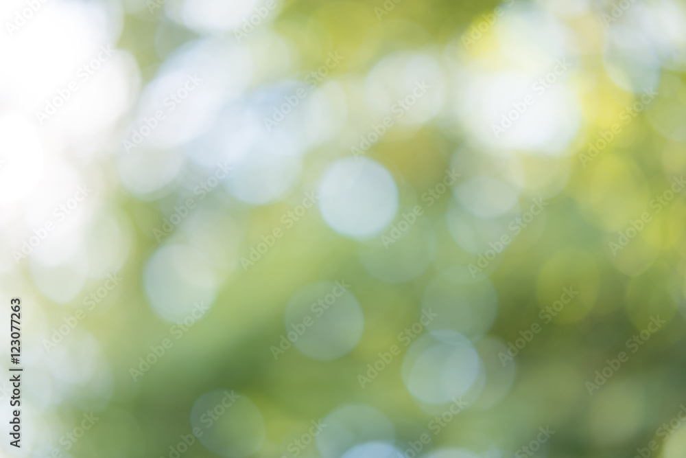 Obraz premium green bokeh from tree and sky