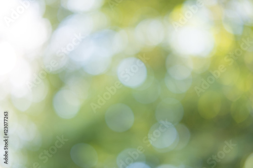 green bokeh from tree and sky