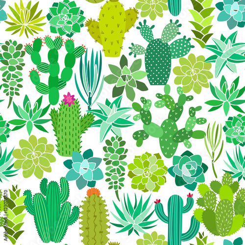 Cactus and succulent flower seamless pattern. Vector background