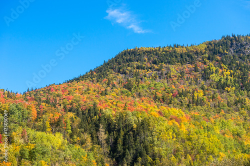 Fototapeta Naklejka Na Ścianę i Meble -  Autumn colors on Chic-Chocs mountains in Gaspesie, Quebec, Canad