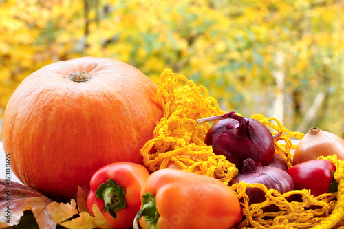 Pumpkin, onions and peppers. Autumn Still Life