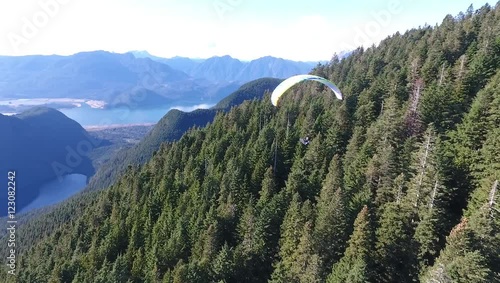 Paragliding across the mountains and forests photo
