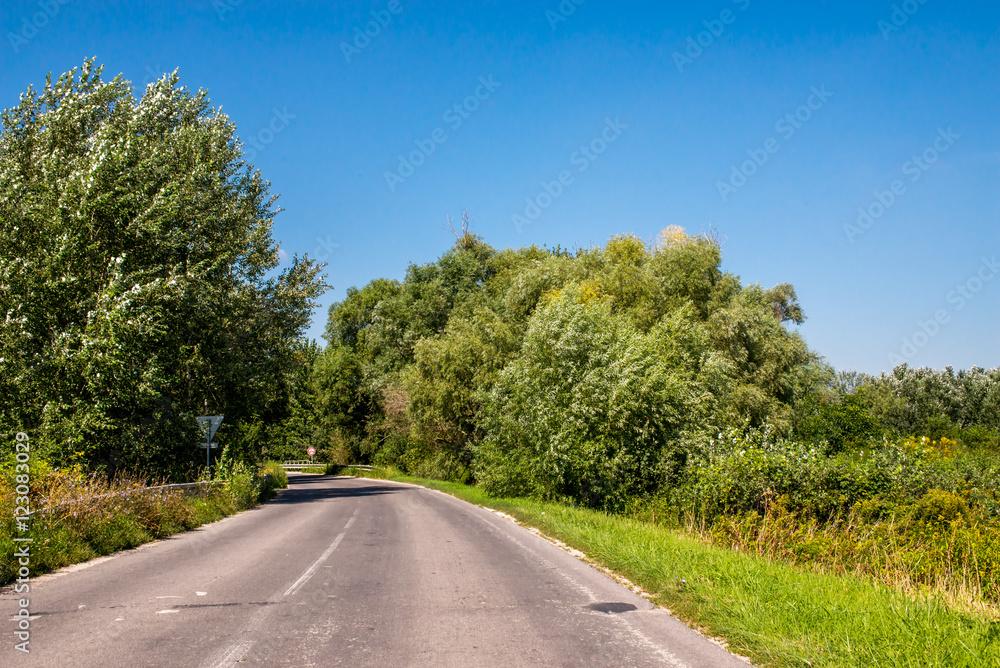 Fototapeta premium Asphalth third grade curved Slovak countryside road near forest, summer