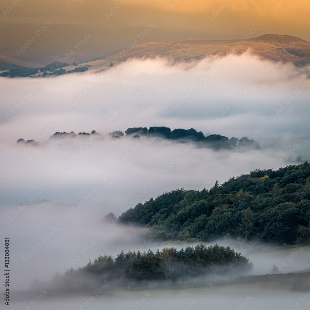 Hills and Trees Covered in Morning Mist