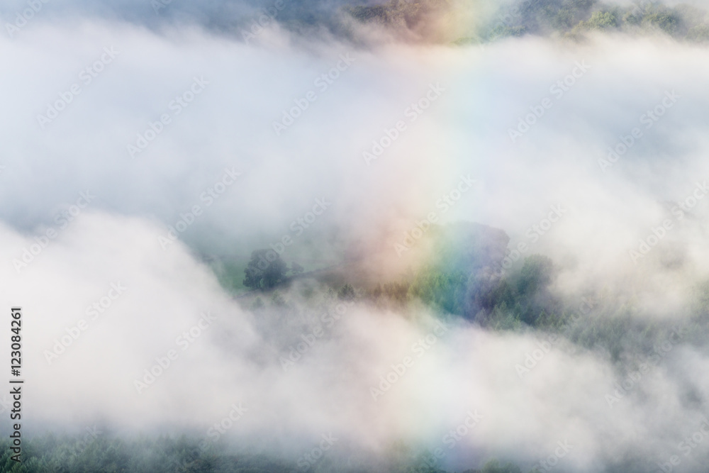 Rainbow Against Misty Forest