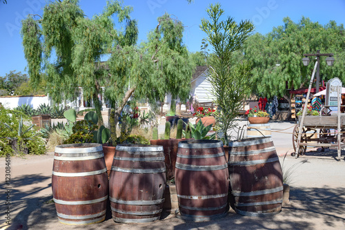 Barrels in Garden