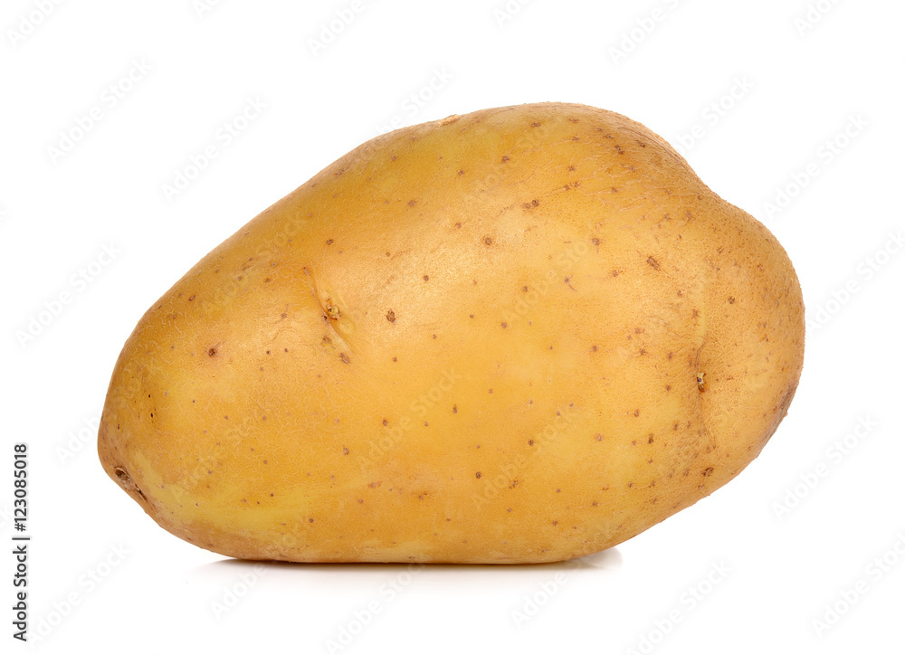 Potato isolated on the white background Potato isolated on the white background