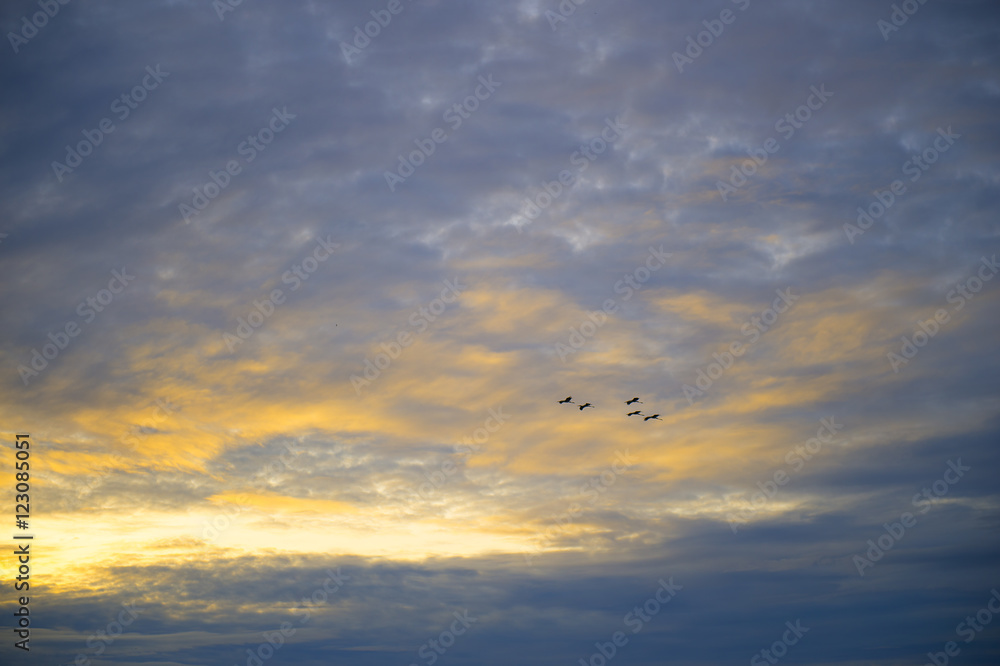 Sky and cloud