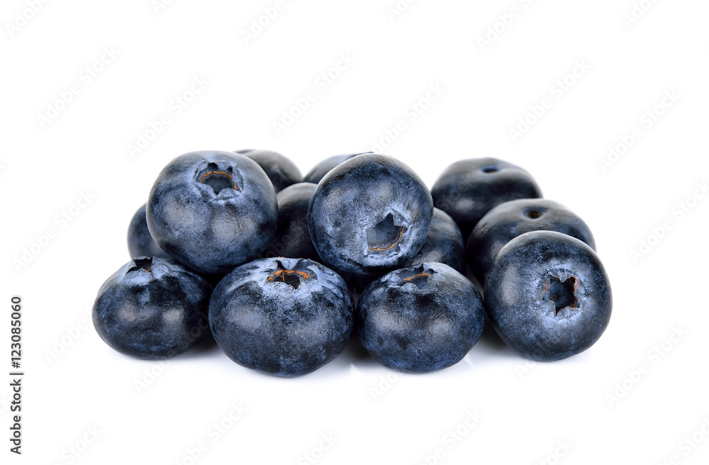 blueberry isolated on the white background blueberry isolated on the white background