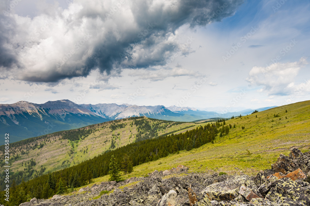 Fototapeta premium Powderface Ridge