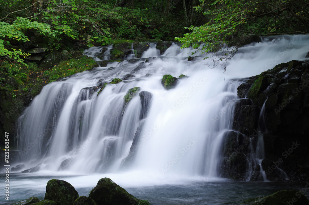 Fototapeta premium 蓼科大滝