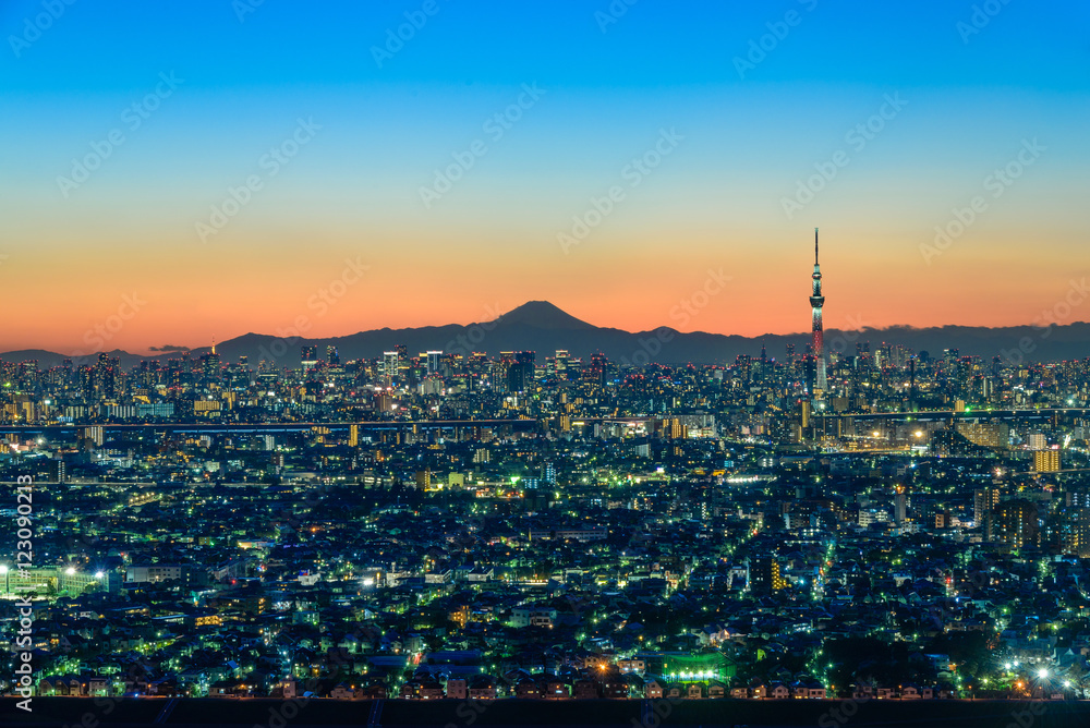 東京スカイツリーと富士山