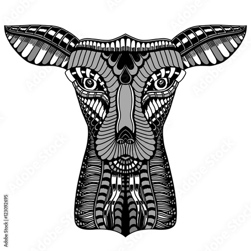 baby deer head