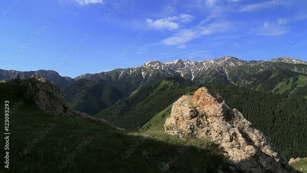 snow mountains, forest and alpine meadow near Ili River Valley in Ili, Xinjiang, China snow mountains, forest and alpine meadow near Ili River Valley in Ili, Xinjiang, China