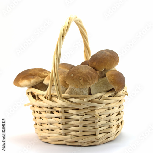 Steinpilze, Boletus edulis, Pilzkorb, Mushrooms