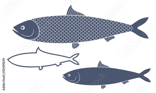 Herring