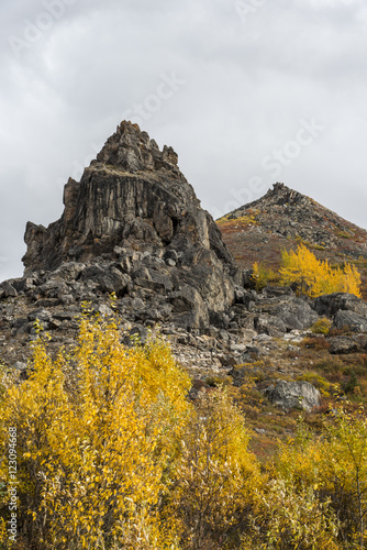 Autumn in Denali park  Alaska