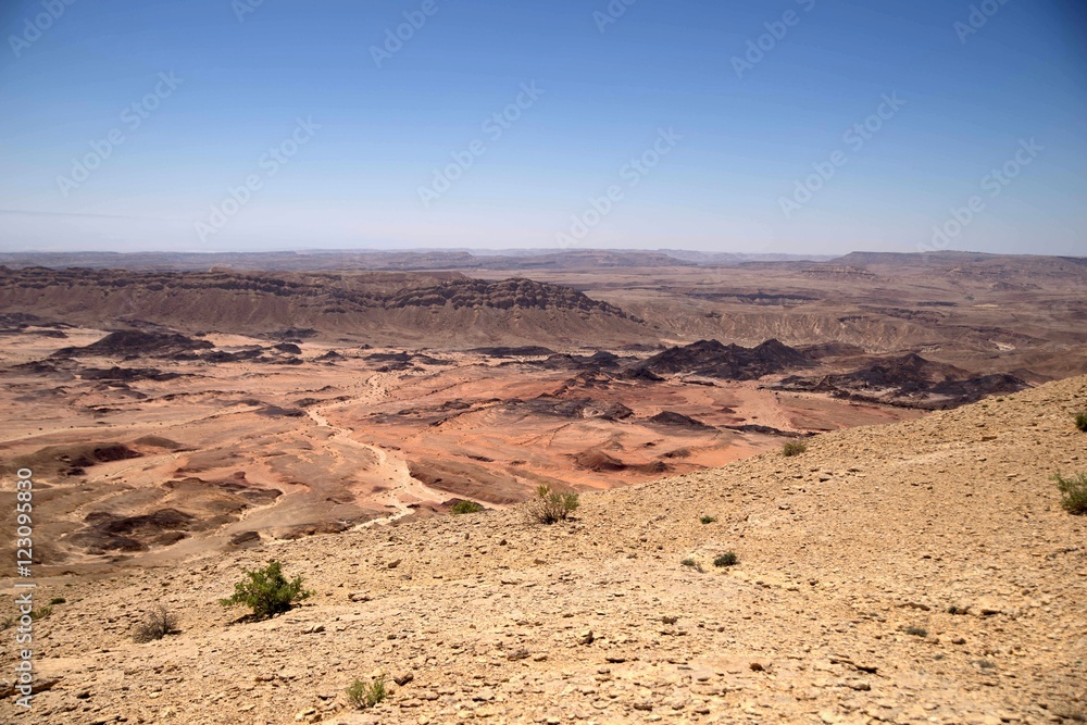 Fototapeta premium Desert landscape