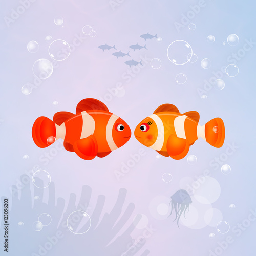 clown fish in the ocean