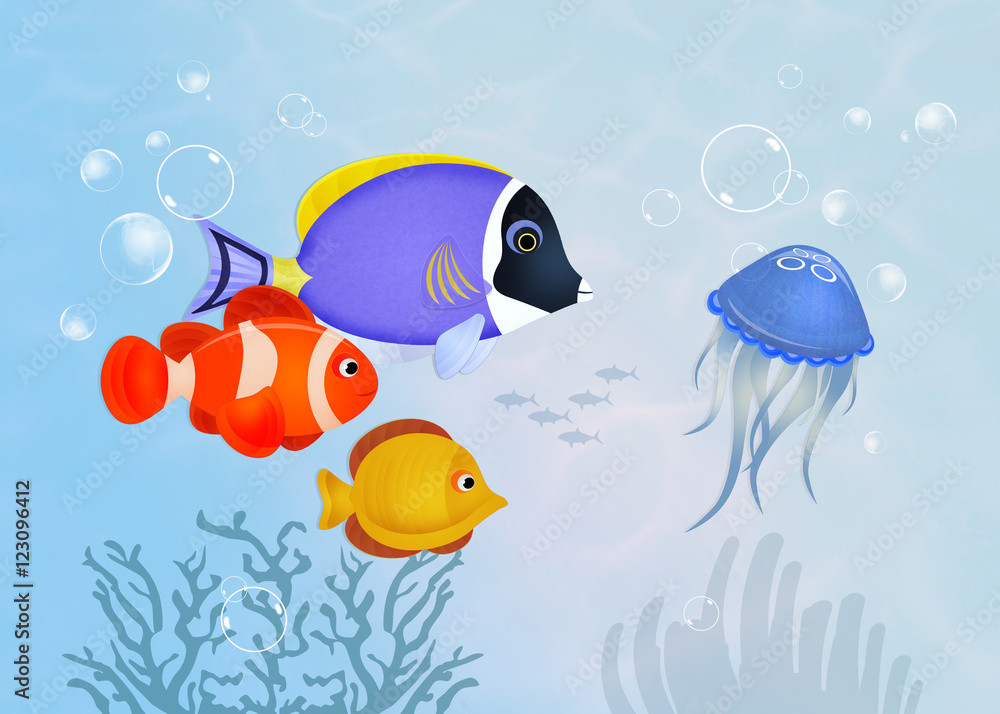 Fototapeta premium fish on the reef