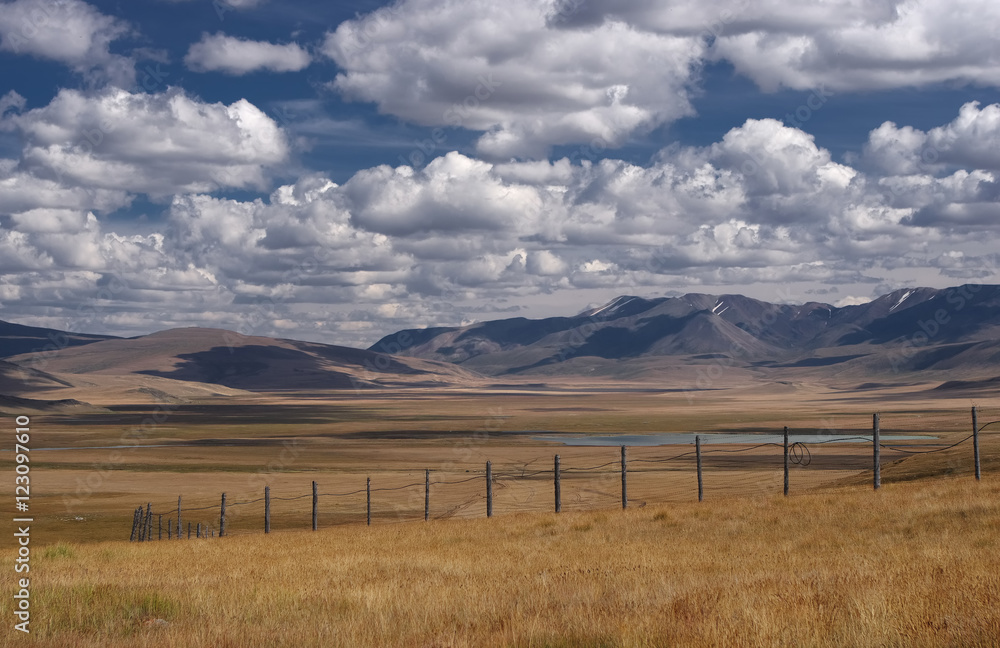 Fototapeta premium A wide steppe with yellow grass on the Ukok plateau near the border with Mongolia, under a cloudy sky on the background of mountain ranges, Altai mountains, Siberia, Russia