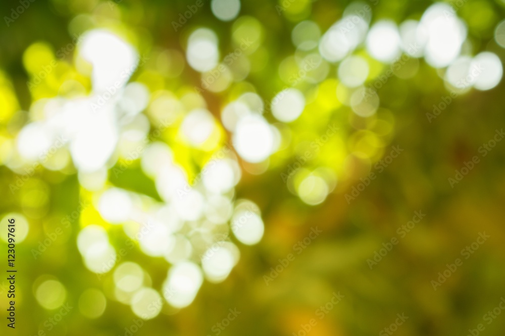 Fototapeta premium Bokeh color tone moss, Abstract natural background