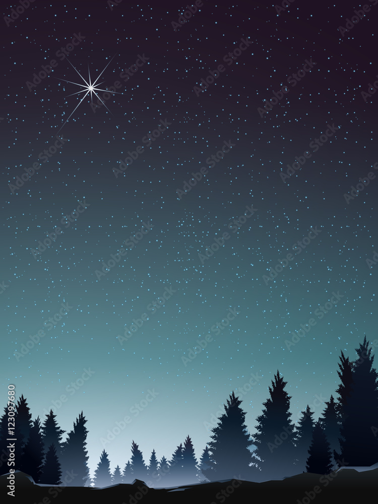 Fototapeta premium pine wood perspective when starry night