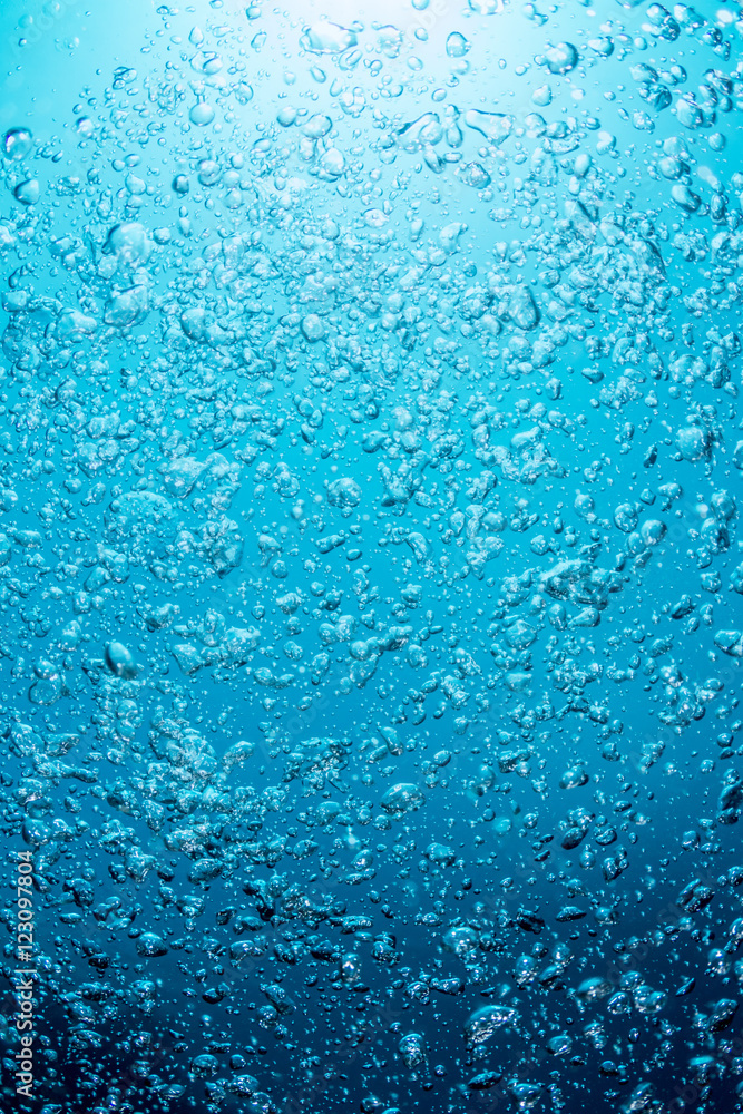 Ooh, bubbles! Ooh, bubbles!