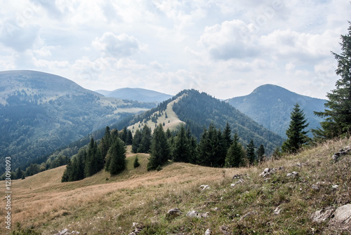 mountain meadow with trees and hills in Velka Fatra mountains in Slovakia
