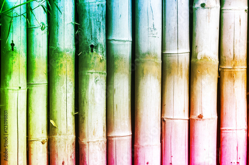 Reed - Bamboo Colorful Abstract Background