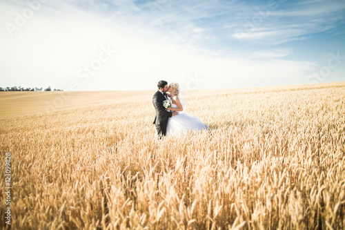 Emotional beautiful bride hugging newlywed groom at a field closeup © olegparylyak