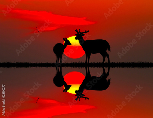 deer at sunset on river